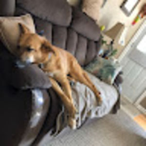 Meet your Posher, Brian